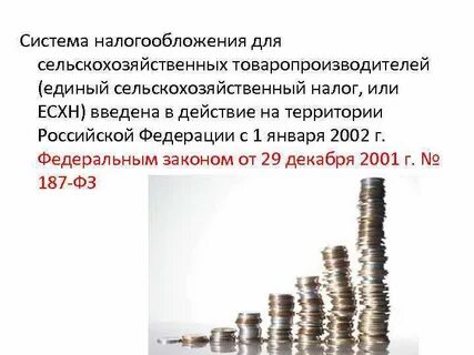 Специальный налоговый режим единый сельскохозяйственный налог