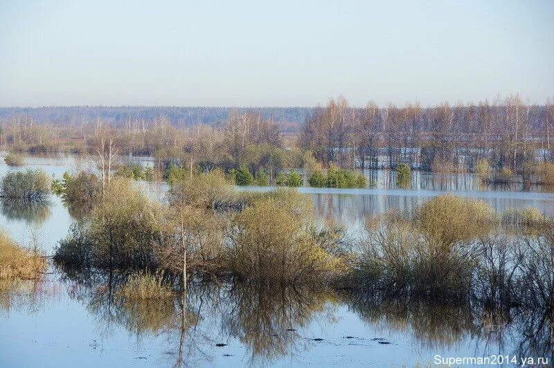 Уровень воды в клязьме город ковров. Разлив реки Клязьма в Собинке. Разлив во Владимирской области.