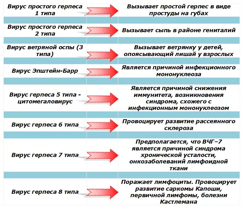 Вирус простого герпеса 1 и 2 типа проявление. Отличие типов 1 и 2 вируса простого герпеса. Вирус простого герпеса 1 и 2 типа разница. Заболевания вируса простого герпеса 1 типа.