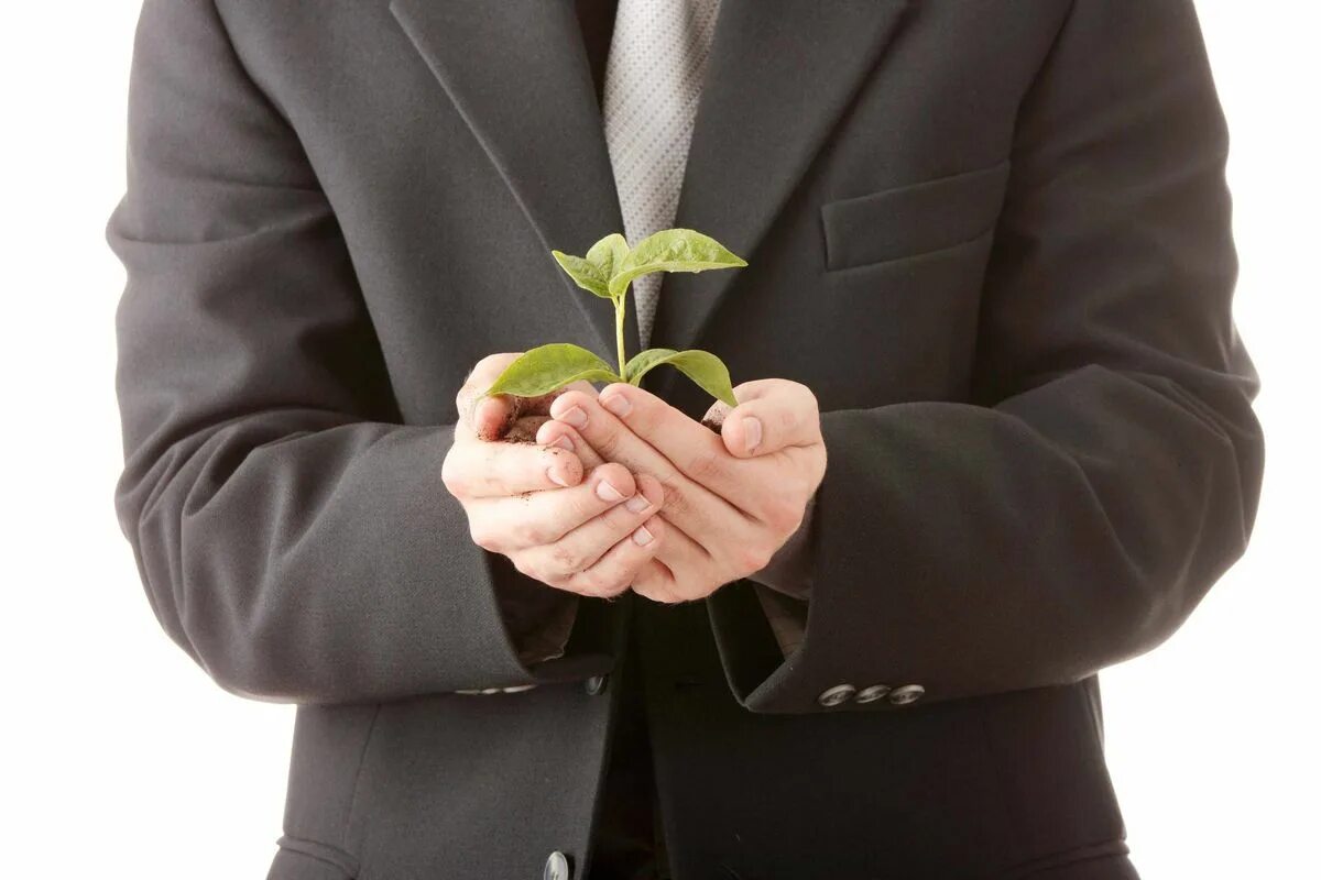 Бизнесмен с цветами. Цветочный бизнесмен. Цветок бизнесмена. Цветок бизнесмена. Бизнесмены цветы.