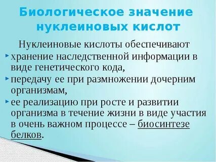 Роль нуклеиновых кислот в жизнедеятельности