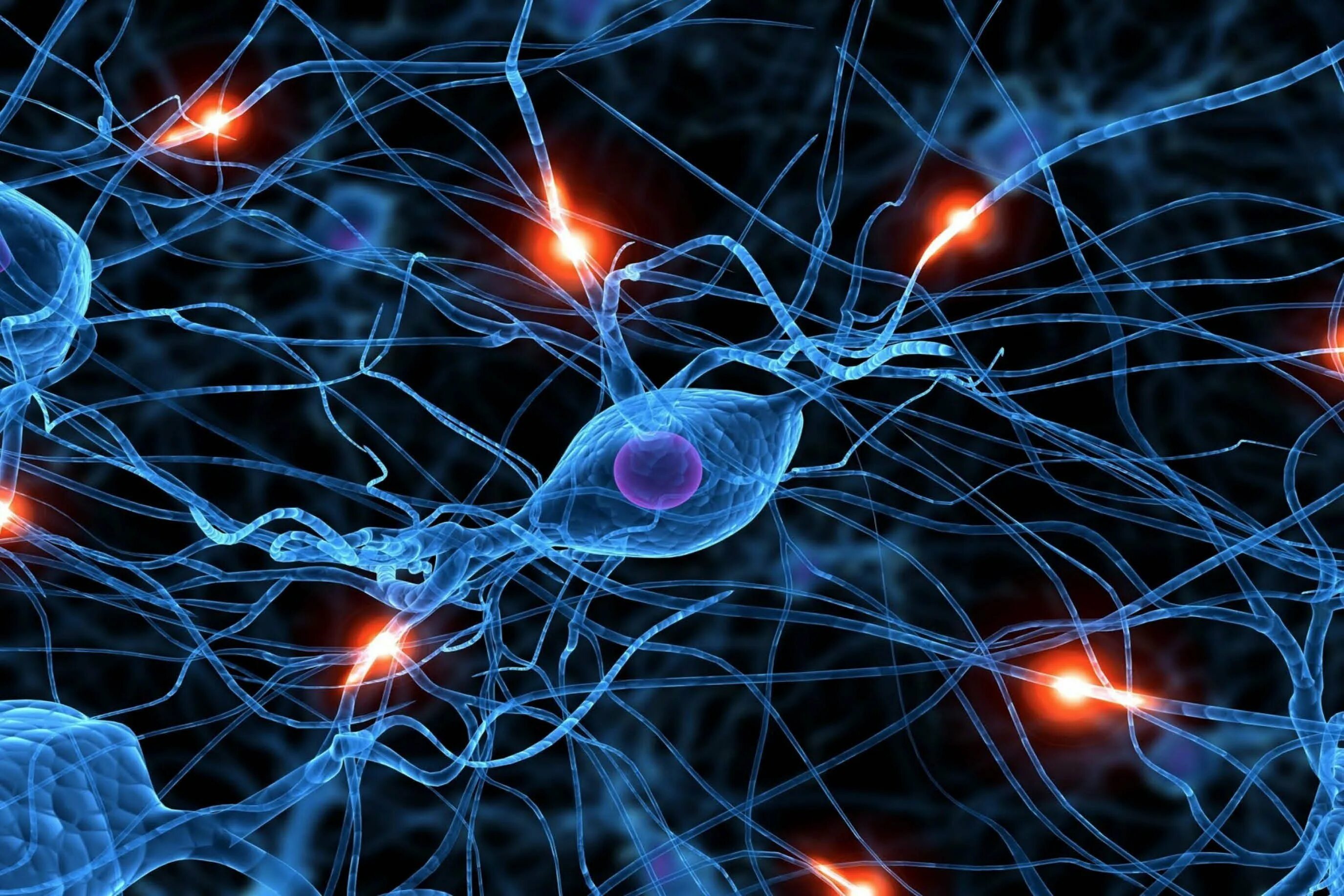 Синапс нейрона. Нейрон и синапс нейросеть. Синапс в нейронных сетях это. Нервная система человека Нейрон. Фон эпилепсия