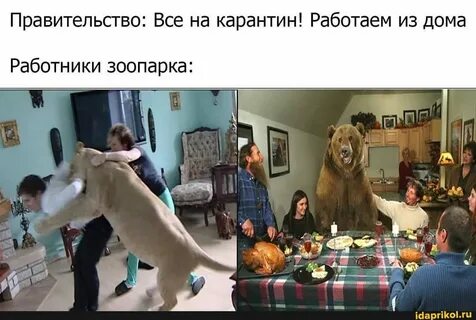 Мы уйдем из зоопарка