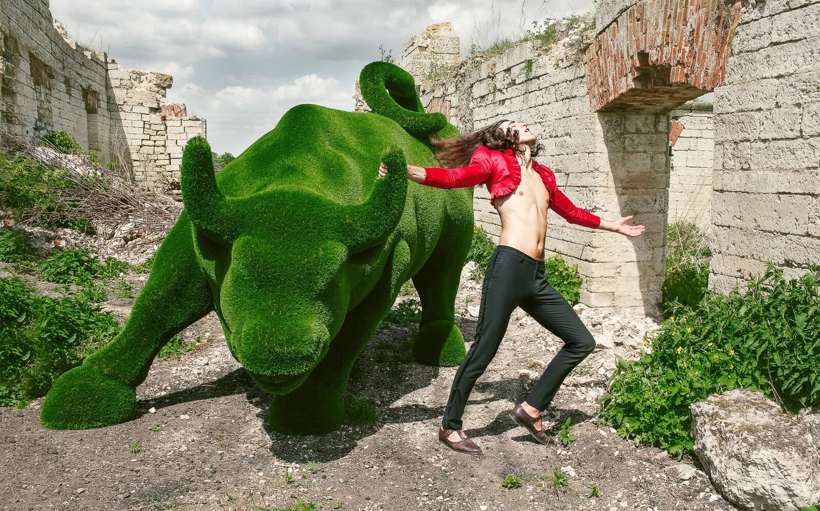 Фигуры бачо купить. Топиари бачо. Бык бачо. Фигурки из газона. Топиари бачо.