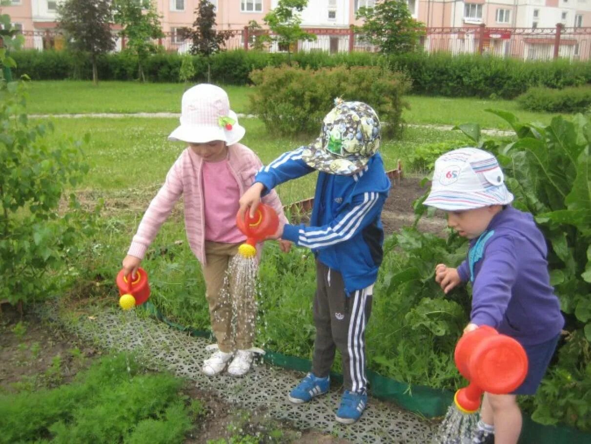 Труд на участке в детском саду. Труд на прогулке в детском саду. Труд в огороде в детском саду. Труд детей на участке летом. Трудовая деятельность на прогулке в старшей группе