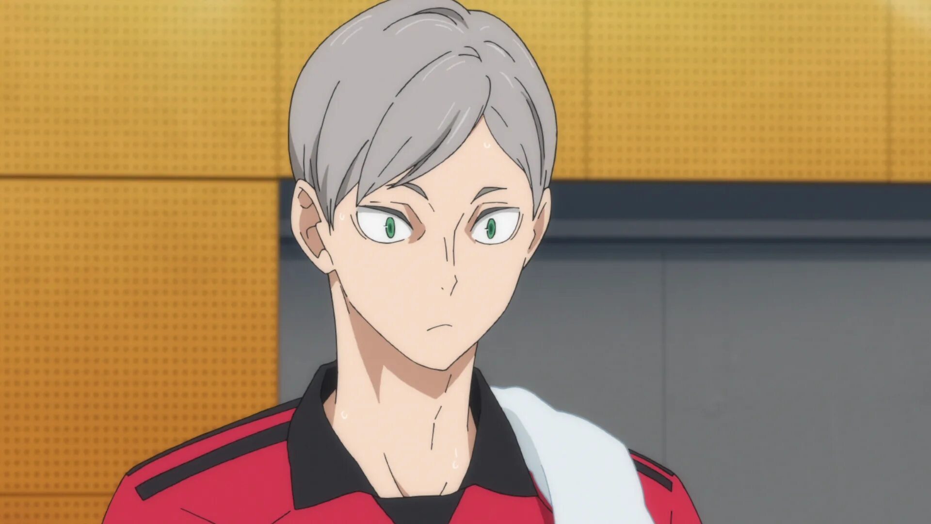 Львы про волейбол. Лев хайба волейбол. лев хайба скрины.