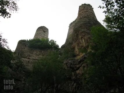 Tetri shauri