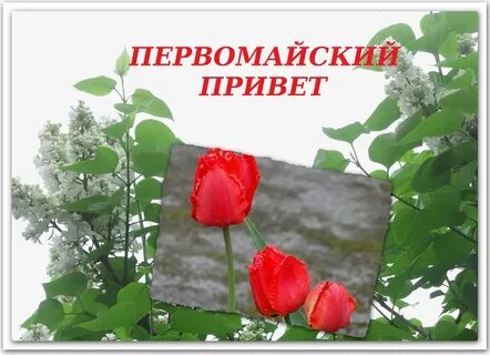 Доброе первомайское утро