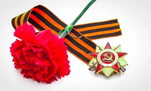 Какие цветы символ 9 мая