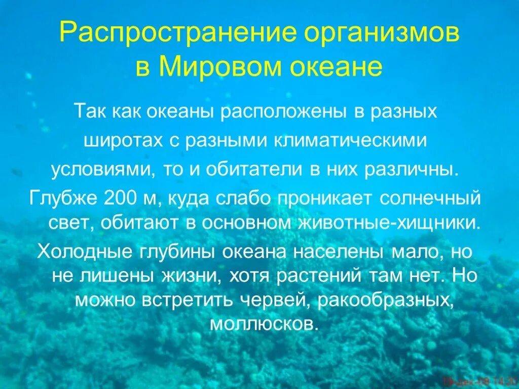 Конспект урока жизнь в океане. Презентация на тему жизнь в океане. сообщение жизнь в океане. распределение жизни в океане. интересные факты о мировом океане.