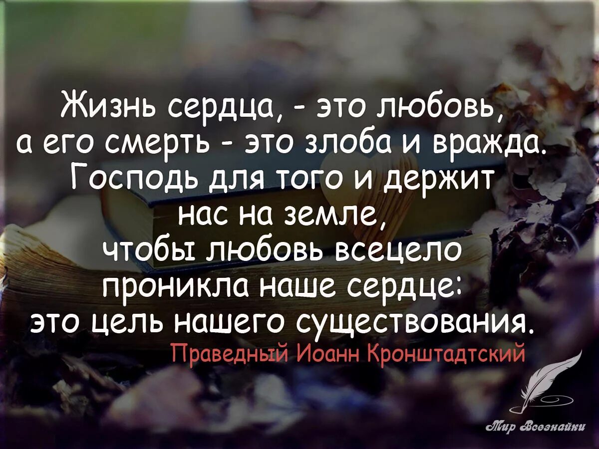 Цитаты о жизни и любви