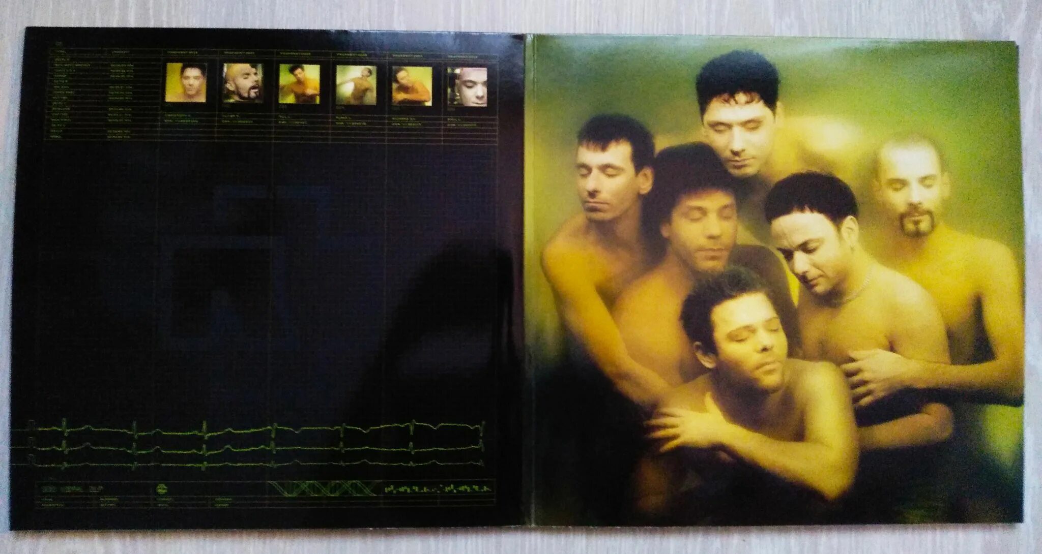 Рамштайн mutter. Виниловая пластинка рамштайн. rammstein альбом mutter винил. rammstein mutter обложка. rammstein mutter обложка альбома.
