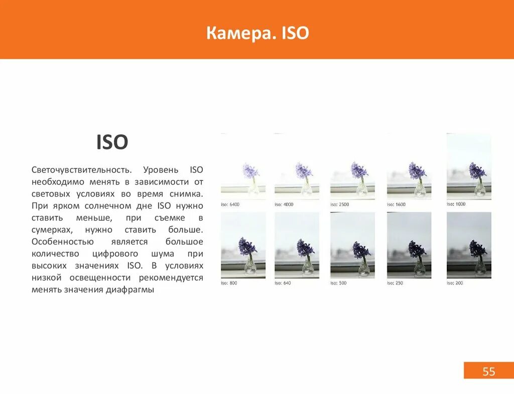 Исо это. ISO параметр камеры. Светочувствительность фотоаппарата ISO. Что такое ИСО В фотоаппарате. Что такое ISO В камере.