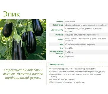 Баклажан эпик f1 отзывы