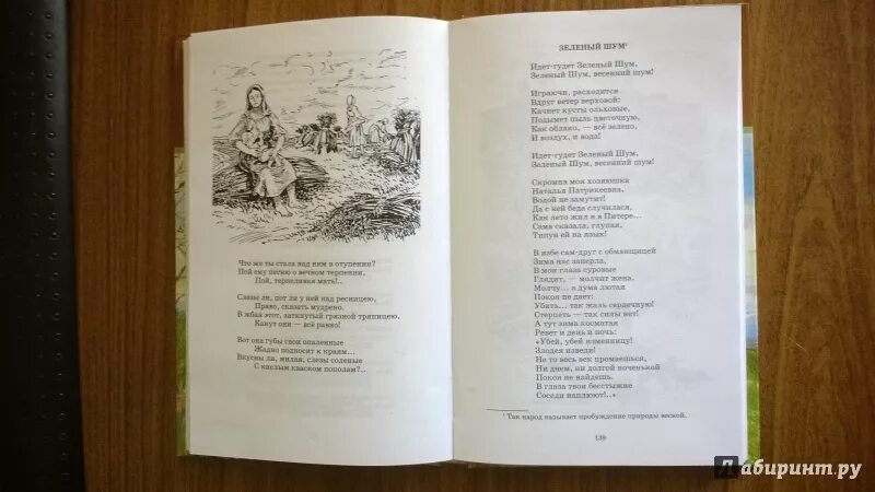 Некрасов "стихотворения". Стихотворение Некрасова соловьи. Детские стихи Некрасова. Иллюстрации к стихам Некрасова Соловей.