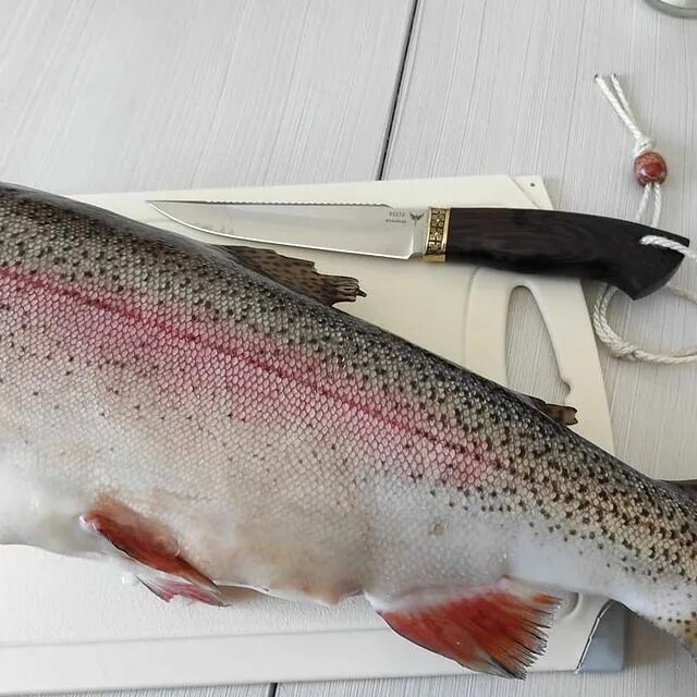 Радужная форель засолка. Форель радужная соленая в домашних. Солёная форель целиковая. Форель радужная соленая. Солёная форель целиковая.