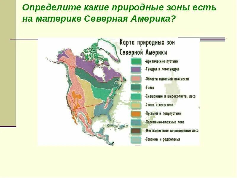 Большую часть северной америки занимает природная зона. Карта природных зон Северной Америки 7 класс география. Природные зоны Северной Америки 7 класс. Климат и природные зоны Северной Америки. Природные зоны Северной Америки 7 класс география.