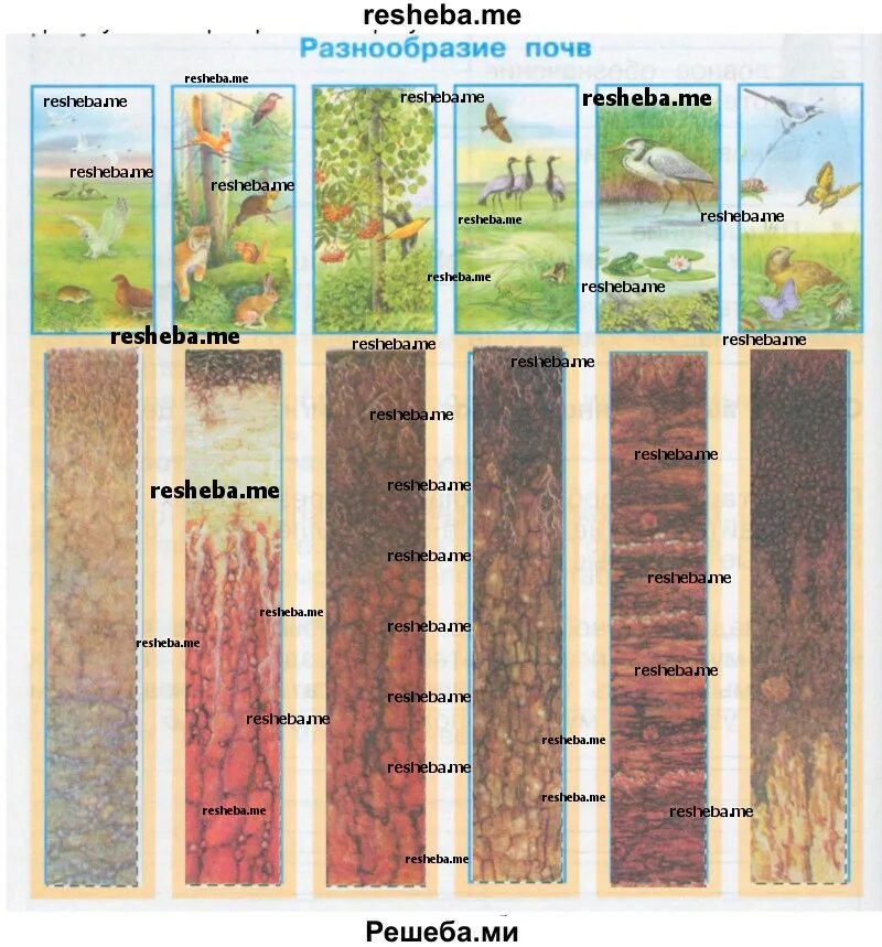 Разнообразие почв 4. Разнообразие почв. Земля кормилица разнообразие почв. Почвы разнообразие почв. Разнообразие почв 4 класс окружающий мир.