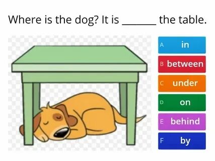 The dog is behind the table