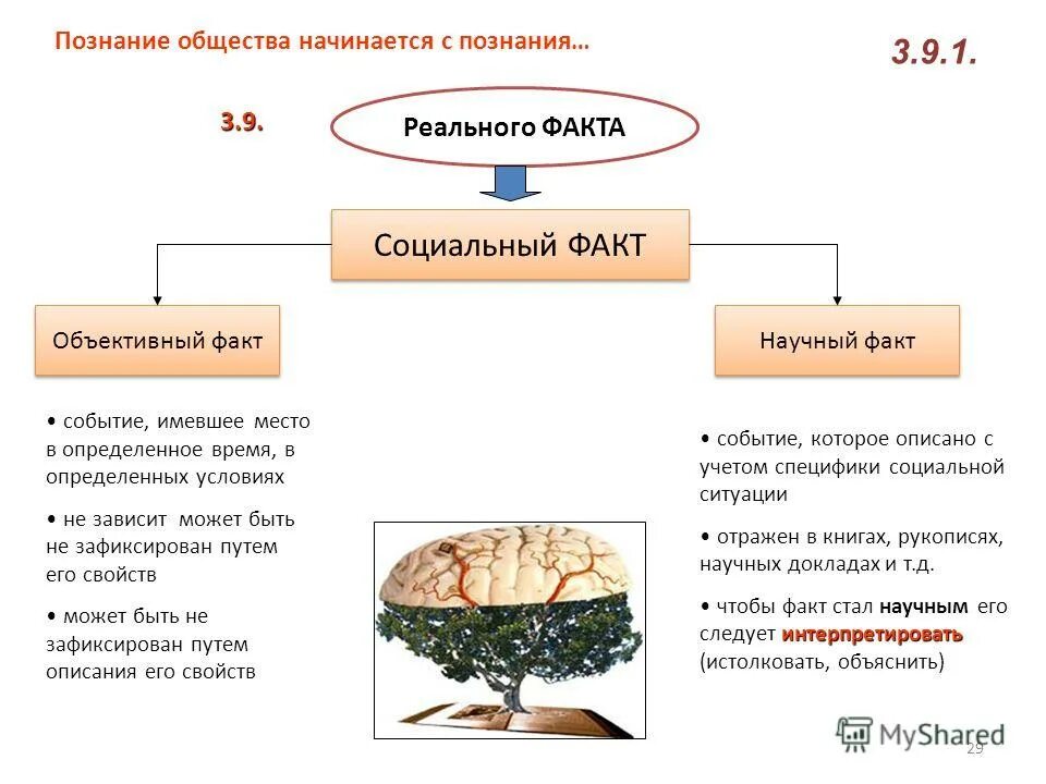 Примеры социальных фактов. Социальный факт. Объективный факт пример. Социальный факт схема.