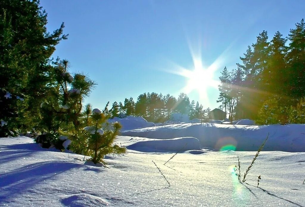Какая чудесная погода солнце уже текст. Солнечный день зимой. Мороз и солнце. Морозный Солнечный день. Зима и солнце день чудесный.