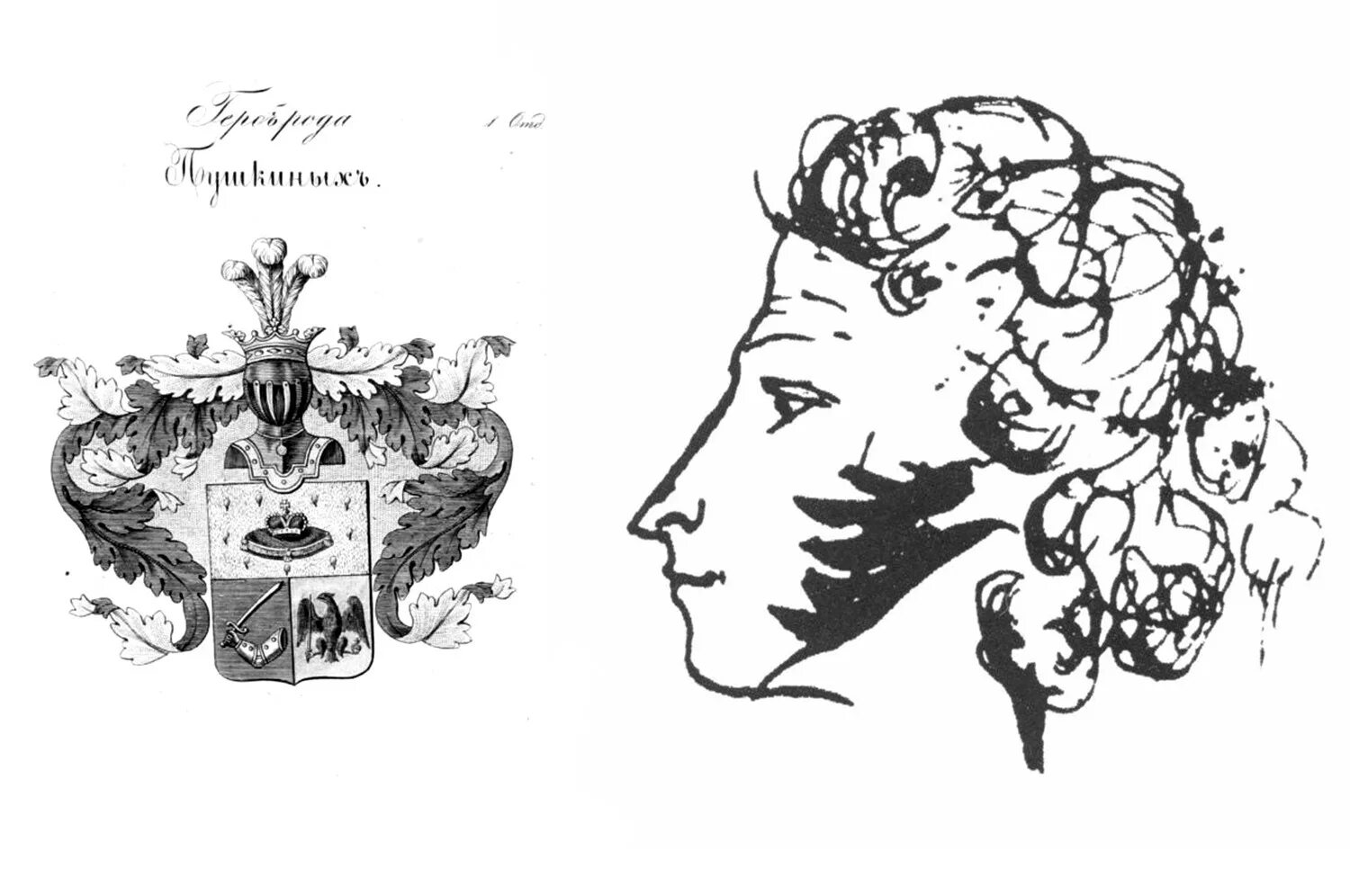 Автопортрет Пушкина. Автопортрет Пушкина 1829 года. Профиль Пушкина автопортрет. Пушкин дики