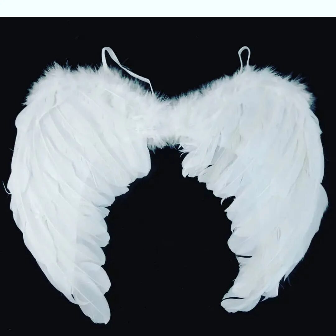 крылья ангела перья. крылья ангела. белые крылья детям. крылья из перьев. крылья ангела.