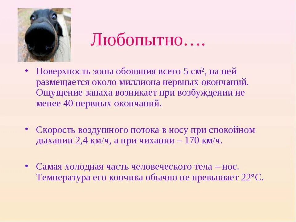 Как правильно говорить чувствую запах