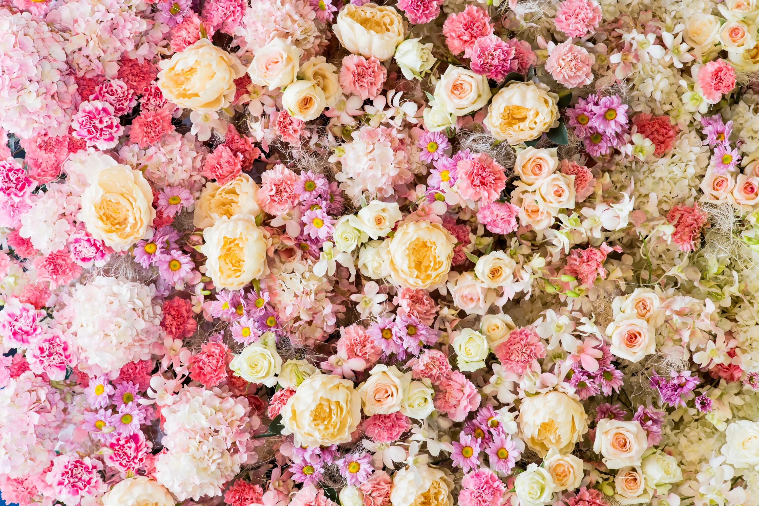Pin by Megaport Media on Flowers ♡ Virágok Floral wreath, Floral, Rose
