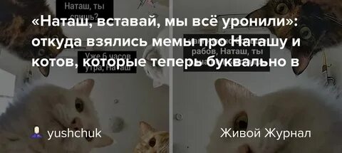 Кто она вообще такая и откуда взялась