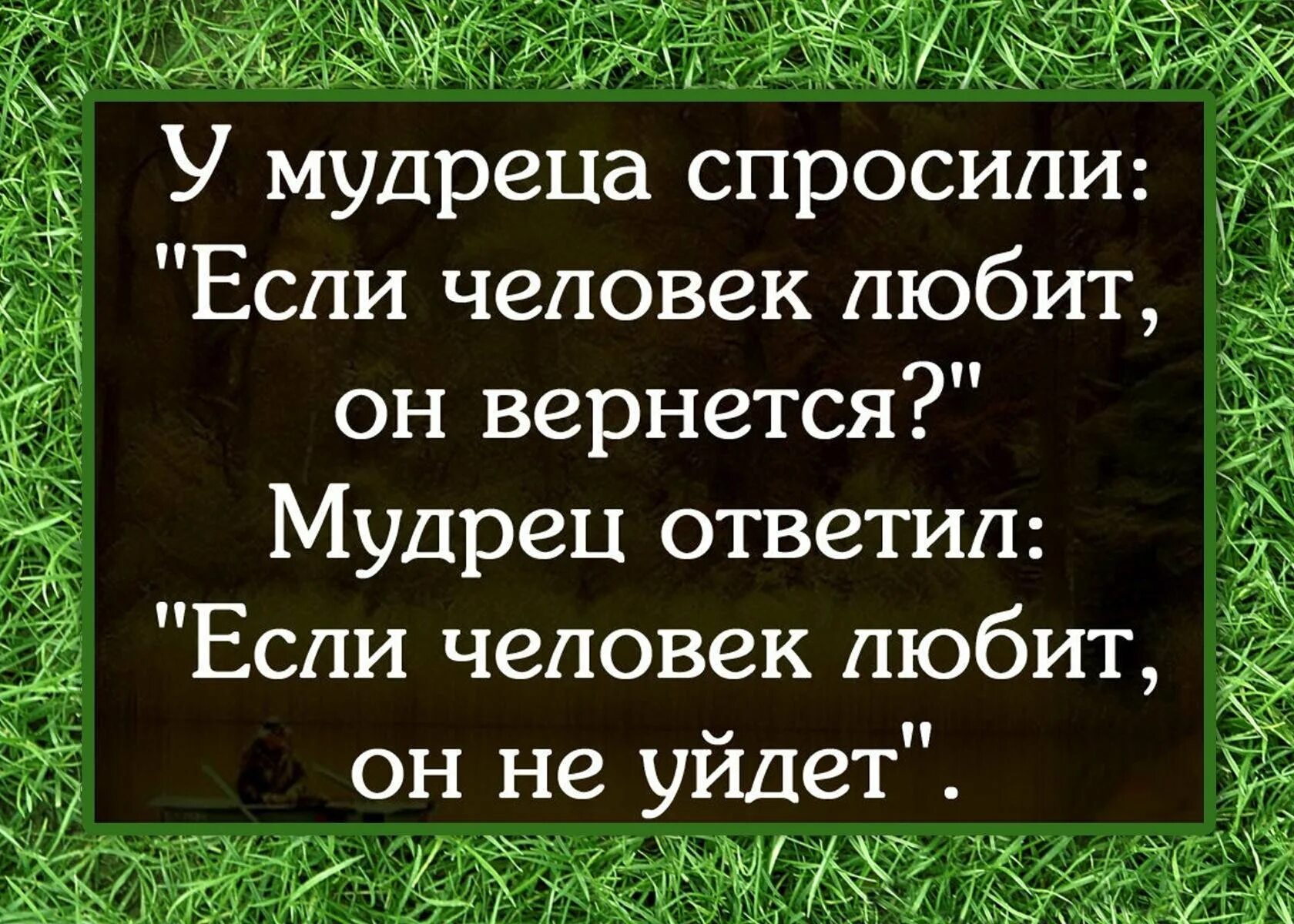 Мудрые изречения. Умные высказывания. Умные цитаты. Мудрые цитаты.