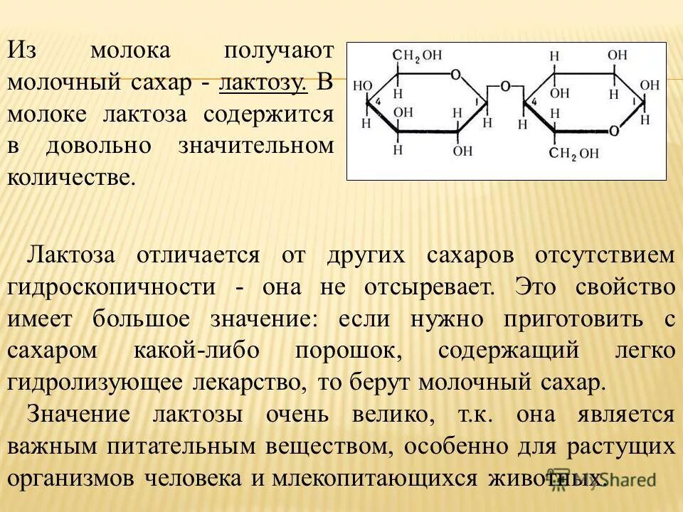 Лактоза биологическая роль. Разложение лактозы. Расщепление лактозы. Лактоза распадается на. Лактоза расщепляется.