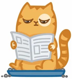 Котик персик