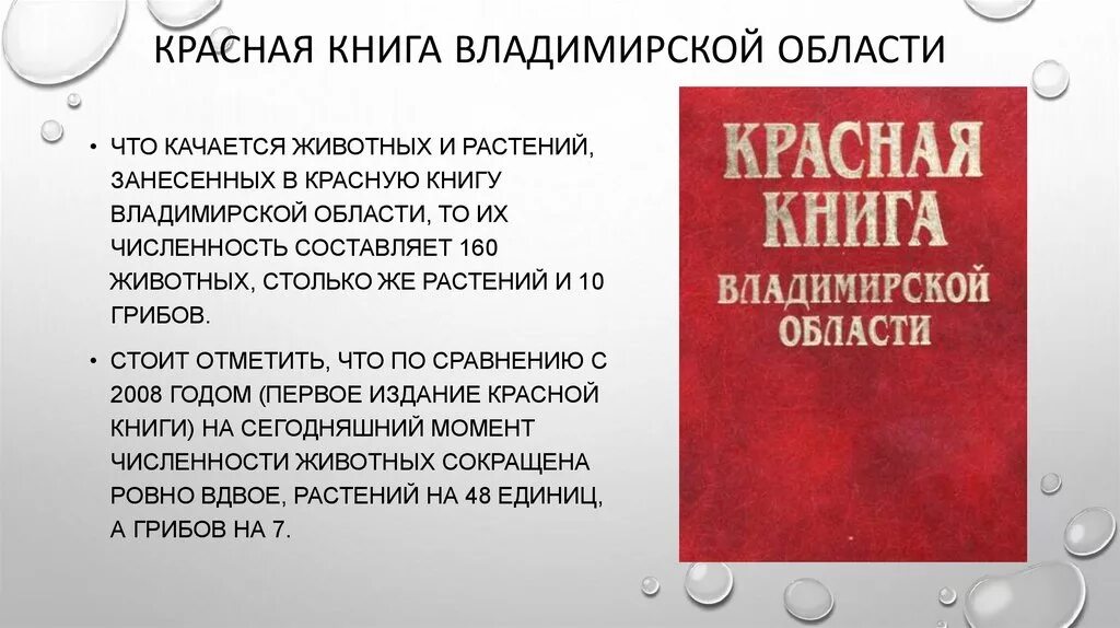 Животные красной книги владимирской области с фото Проект красная книга владимирской области