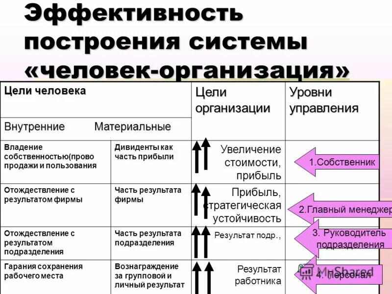 Части и уровни организации