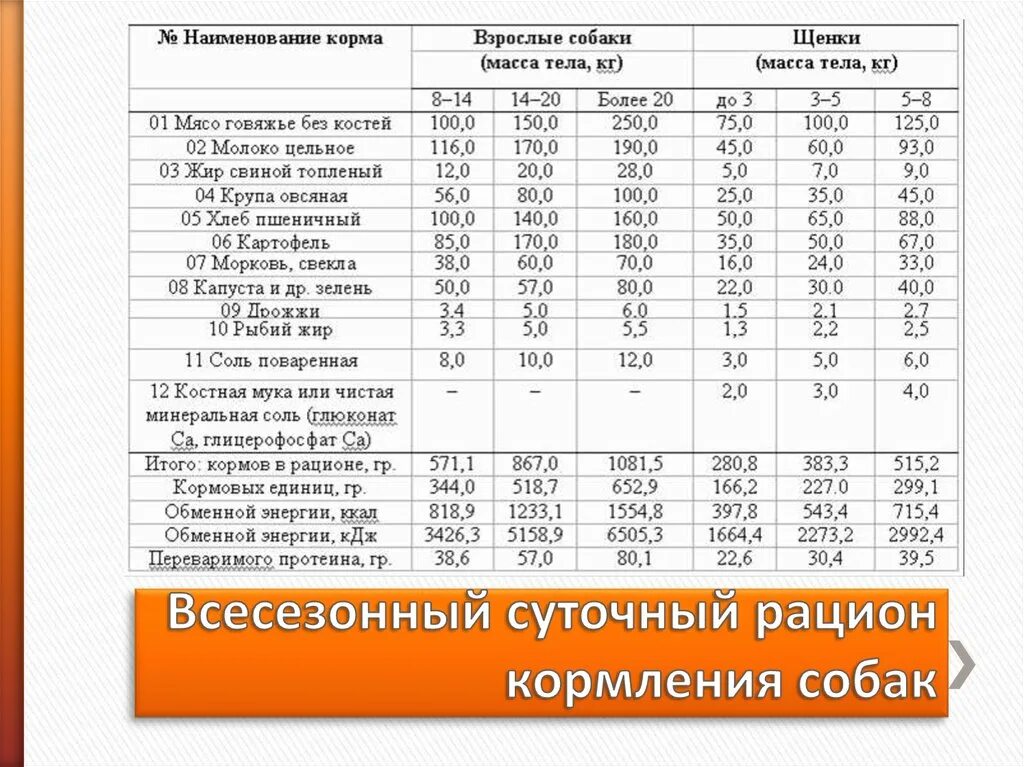 Сколько грамм овчарки. Суточные рацион для щенка немецкой овчарки. Рацион кормления собак натуральным кормом. Недельный рацион питания для щенка немецкой овчарки. Нормы кормления собак натуральным кормом таблица.