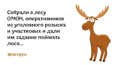 Анекдоты лось