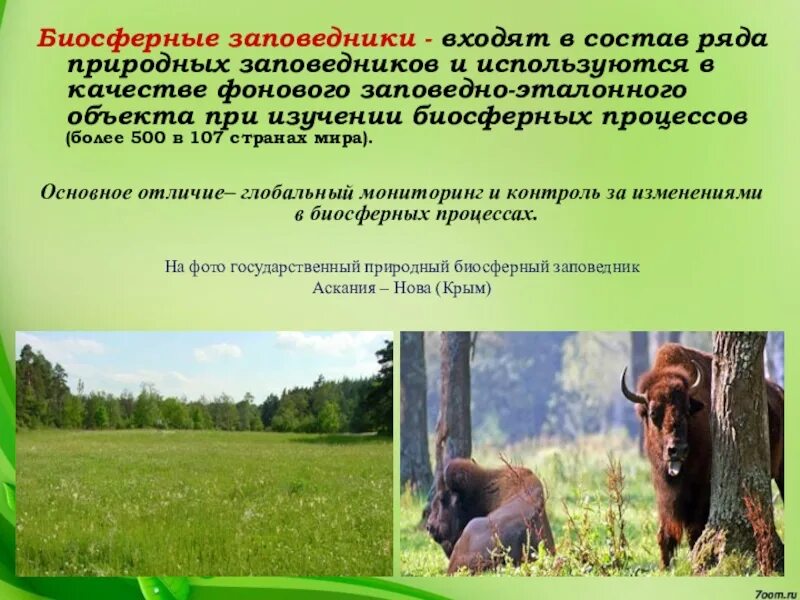 Значение биосферных заповедников. Роль биосферных заповедников. цель биосферных заповедников. задачи природных заповедников.