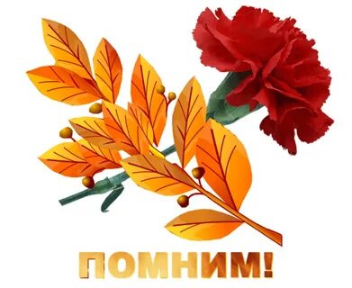 Какие цветы символ 9 мая