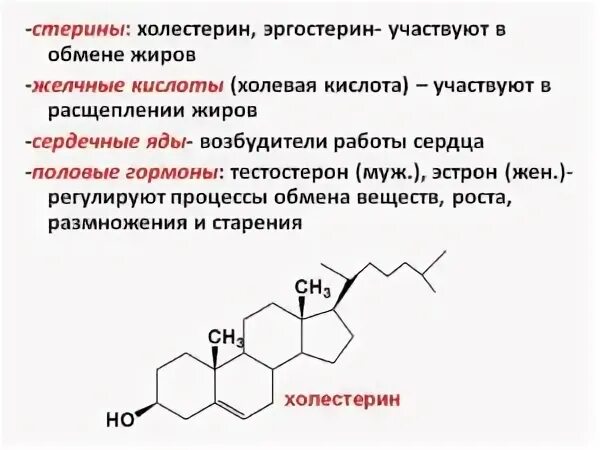 Биологическая роль холестерина. Стерины- , стериды - , стероиды. Стерины биохимия. Стерины и стериды строение и биологическая роль. .Стероиды. Стерины. Строение, биологическая роль.