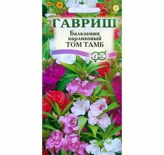 Бальзамин том тамб отзывы