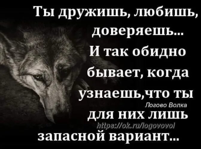 А жизнь обидно коротка. Обидно цитаты. Цитаты про обидные слова. Статусы с волками. Обидные статусы.