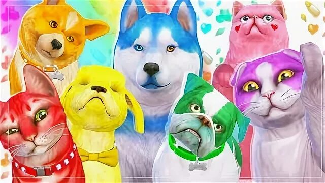 Rainbow petting. Радужные кошки и собаки. Фото радужные питомцы. Радужные кошки и собаки поезда.