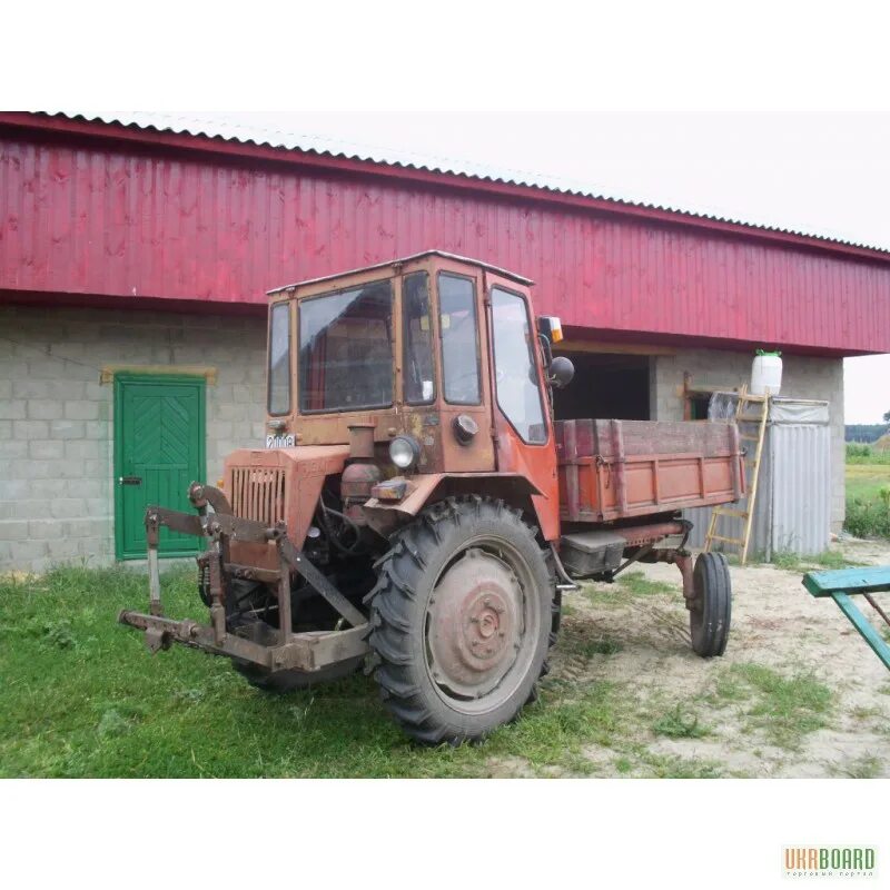 Купить трактор т 16 б у. Т-16 (трактор). Т16м. Трактор пух. Пухтель трактор.