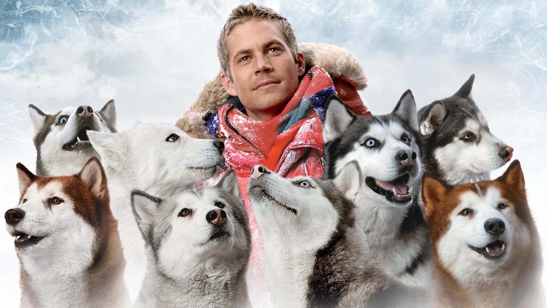 Белый плен музыка. Белый плен фильм 2006. пол уокер белый плен. пол уокер фильм про собак хаски. пол уокер белый плен 2006.