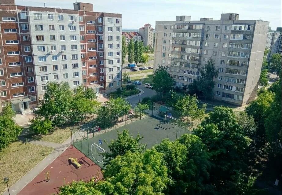 сдэк олимпийский 62 старый оскол. старый оскол мкр олимпийский 62. старый оскол мкр олимпийский. старый оскол микрорайон олимпийский 7. старый оскол микрорайон олимпийский.