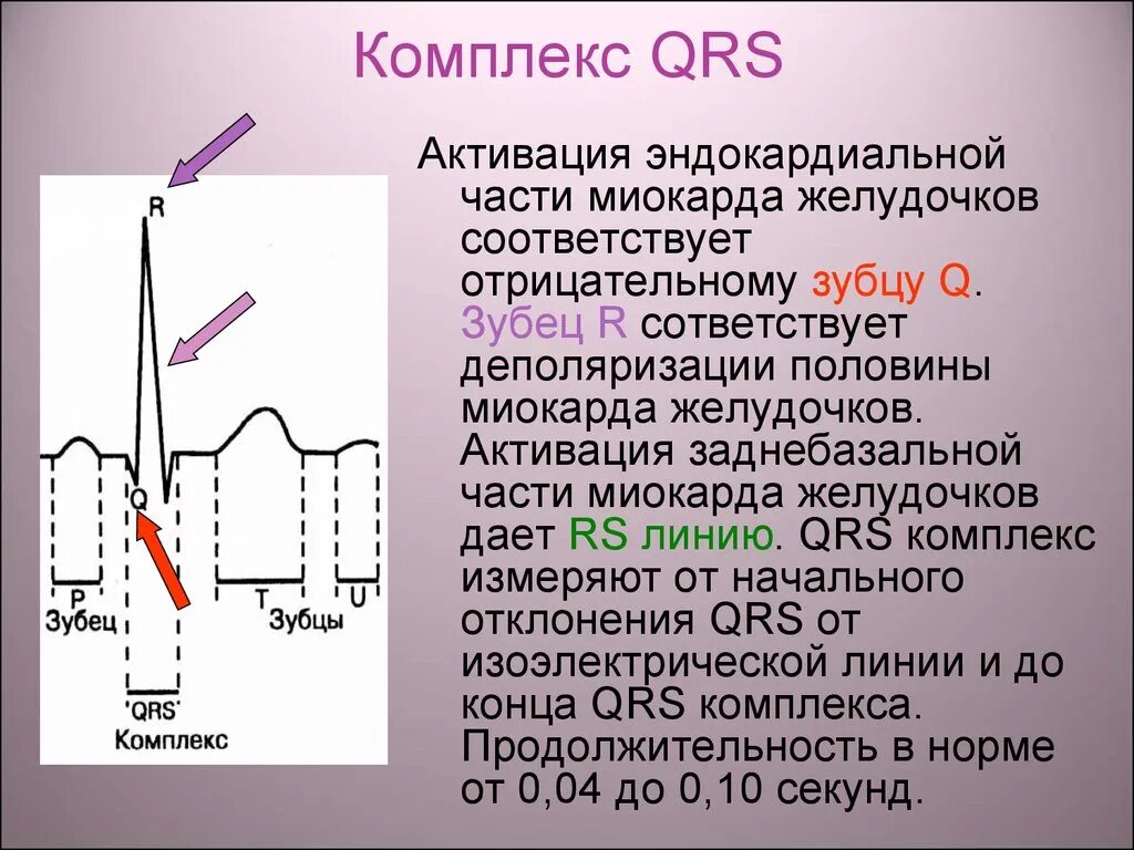 Нормальная Продолжительность комплекса QRS. Комплекс QRS электрокардиограммы соответствует:. Комплекс зубцов QRS на ЭКГ. Комплекс QRS отражает процесс:.