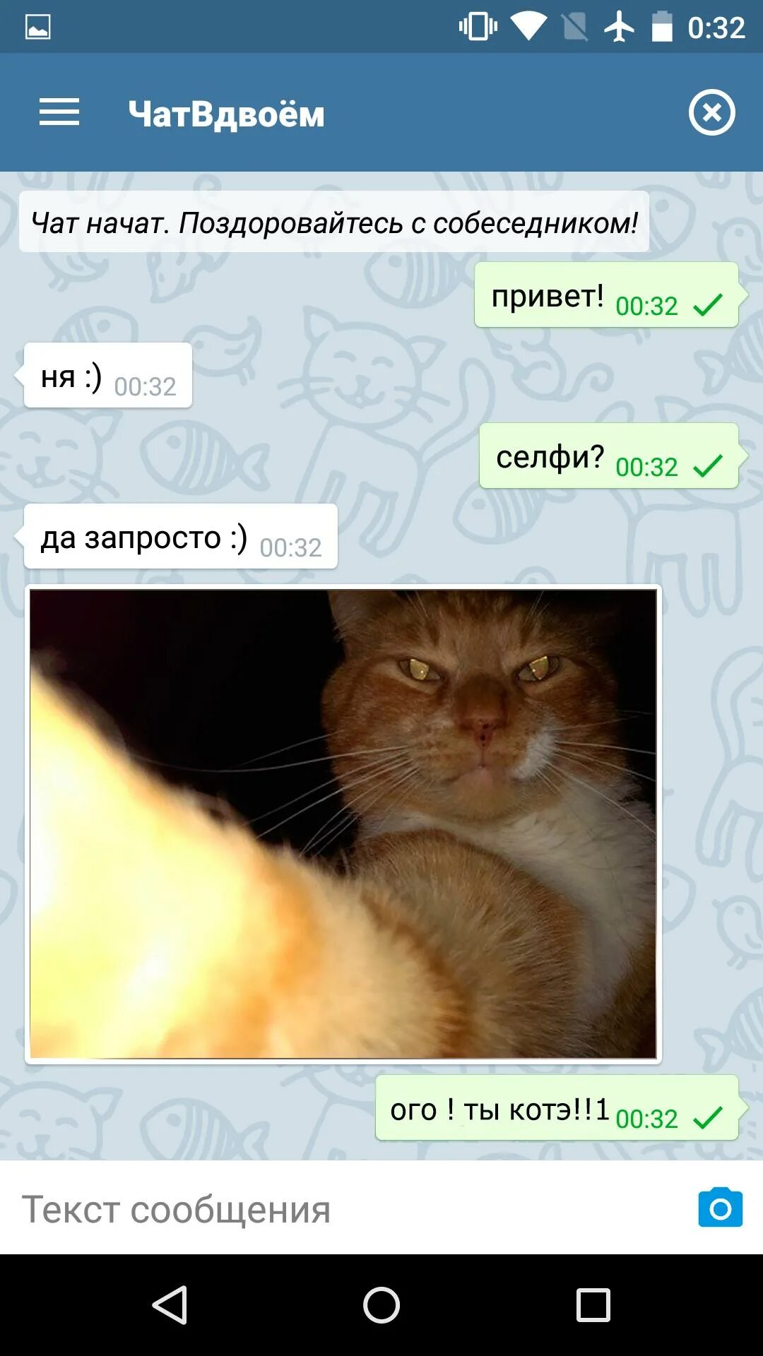 Чат включи. Чат вдвоем. 4chat. Чат чат чат. Чат вдвоём анонимный.