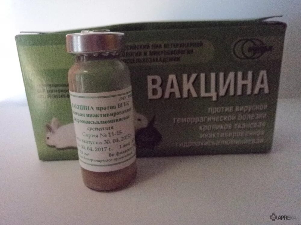 Миксоматоз вакцина купить. Миксоматоз у кроликов вакцина. Ассоциированная вакцина против миксоматоза и ВГБК. Вакцина ассоциированная для кроликов от миксоматоза и ВГБК. ВГБК вакцина для кроликов.