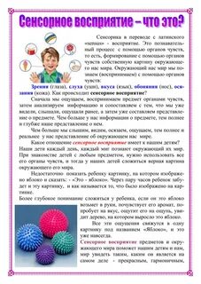 Сенсорное восприятие развитие